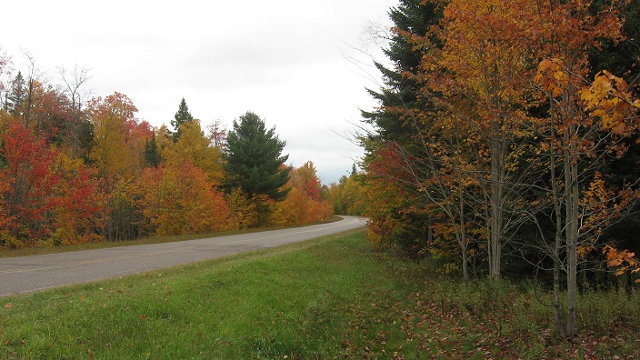 Curley Lewis Memorial Highway