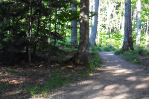 North Country Scenic Trail