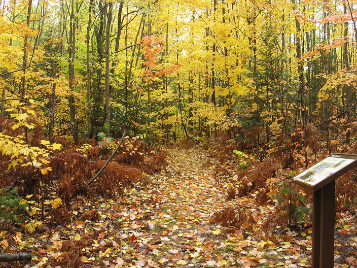 Hamilton Lake Natural Area