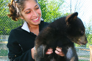 Oswald's Bear Ranch