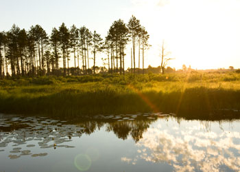 Seney Wildlife Refuge